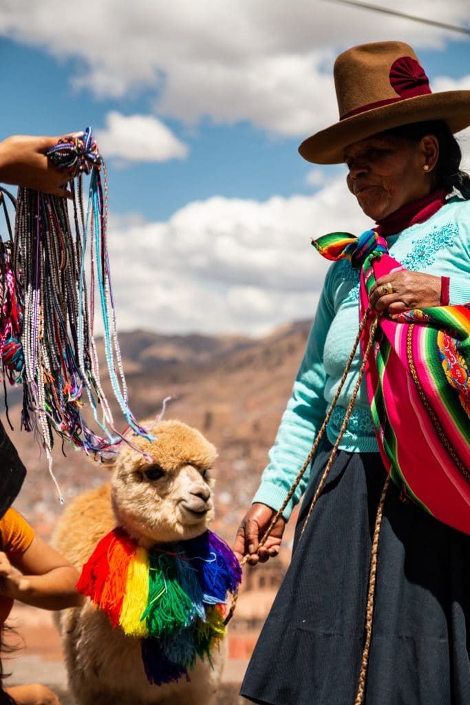 Alpaca and peruvian woman